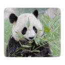 Buscar gigante tablas cortar Animal