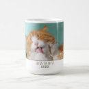 Buscar imagen del gato tazas Adorable
