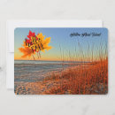 Buscar head tarjetas Isla cabeza de hilton