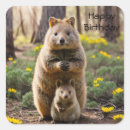 Buscar quokkas pegatinas Para todos