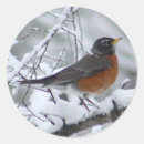 Buscar robos pegatinas Nieve