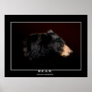 Buscar osos negros posters Animales salvajes