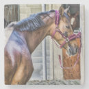 Buscar caballo posavasos Ecuestre