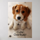 Buscar beagles posters Cachorro