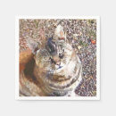Buscar gatos adorables servilletas General y unisex