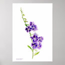 Buscar sarah arte Flores