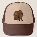 Buscar animales gorras Capibara