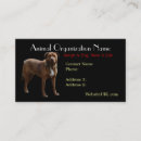 Buscar mi pitbull tarjetas de visita Perro