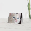 Buscar gatito tarjetas nota Gatos