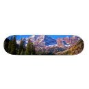 Buscar álamo tablas de skate Árbol