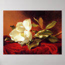 Buscar terciopelo rojo posters Flor