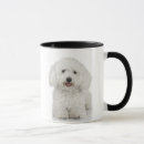 Buscar malta tazas Para mascotas