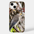 Buscar ramas marrones iphone fundas Marrón