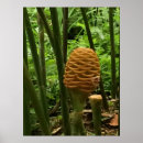 Buscar diseños tropicales posters Plantas
