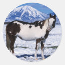 Buscar pinto pegatinas Caballo
