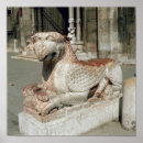 Buscar pico cuadrado posters Animal