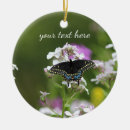 Buscar swallowtail negro Verano