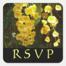 Buscar orquídeas amarillas pegatinas Amarillo