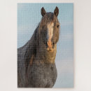 Buscar equino puzzles Vida silvestre
