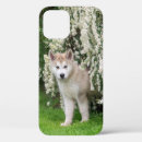 Buscar alaskan malamute iphone fundas Adorable