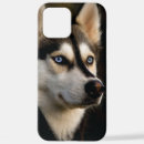 Buscar husky iphone fundas Animal