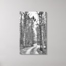 Buscar acceso fotografía Bosque