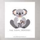 Buscar koalas posters Australia