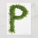Buscar letra p postales Cuadrado