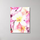 Buscar flores hawaianas blancas Plumeria