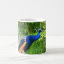 Buscar pavo real tazas Atragantar