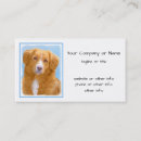 Buscar nova Recuperador