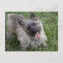 Buscar lengua postales Sonrisa