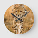 Buscar acinonyx arte Día