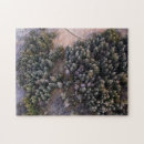 Buscar pinos puzzles Árboles