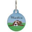 Buscar perritos collares Animales