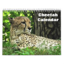 Buscar guepardos calendarios Animales