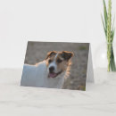 Buscar luv tarjetas Perro