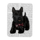 Buscar scottish terrier imanes Flores