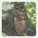 Buscar percha pegatinas Naturaleza