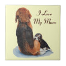 Buscar perro de caza azulejos Beagle