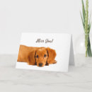 Buscar perro triste tarjetas Te extraño