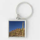Buscar tucson arizona llaveros Planta