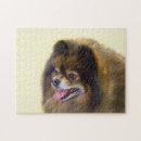 Buscar pomerania puzzles Para todos