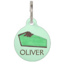 Buscar patrick collares Verde