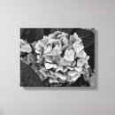 Buscar hydrangea arte Blanco