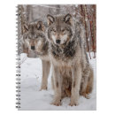 Buscar lobo gris cuadernos Naturaleza