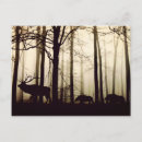 Buscar lider postales Vida silvestre