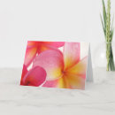 Buscar frangipani Verano