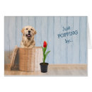 Buscar perros de caza tarjetas Adorable