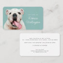 Buscar bulldog tarjetas de visita Andador de perros